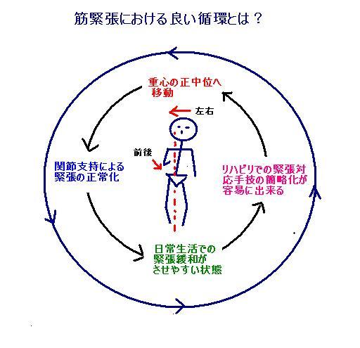 17.筋緊張の良い循環.JPG