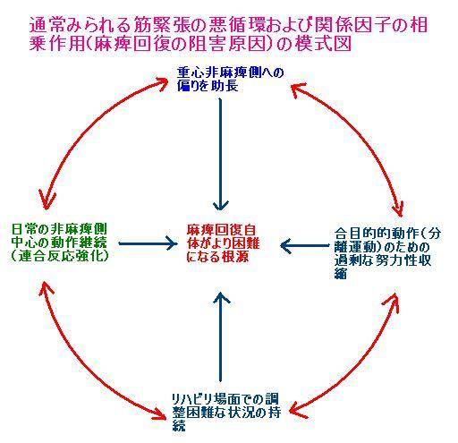 16.筋緊張の悪循環.JPG